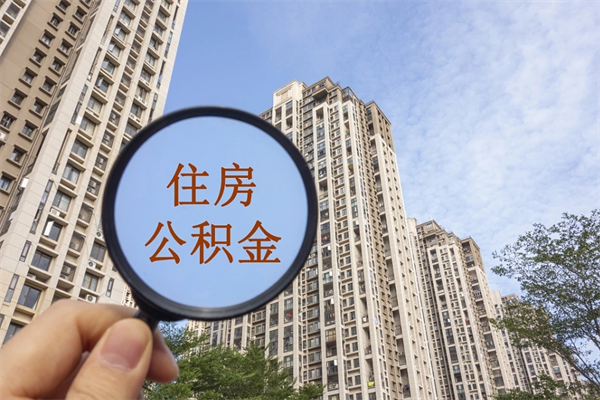 百色上海公积金提取中介（上海公积金提取中介可靠吗）